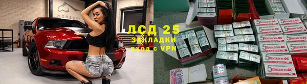 прущие грибы Аркадак