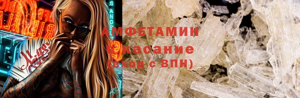 прущие грибы Аркадак