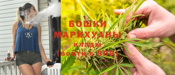 эйфоретик Арсеньев