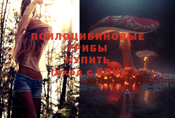 гашиш Осинники